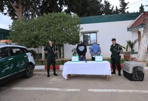 إيقاف شخصين اعتديا على قاصر بواسطة كلب بتيارت